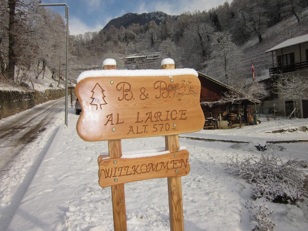 B&B Al Larice Strigno Exterior photo