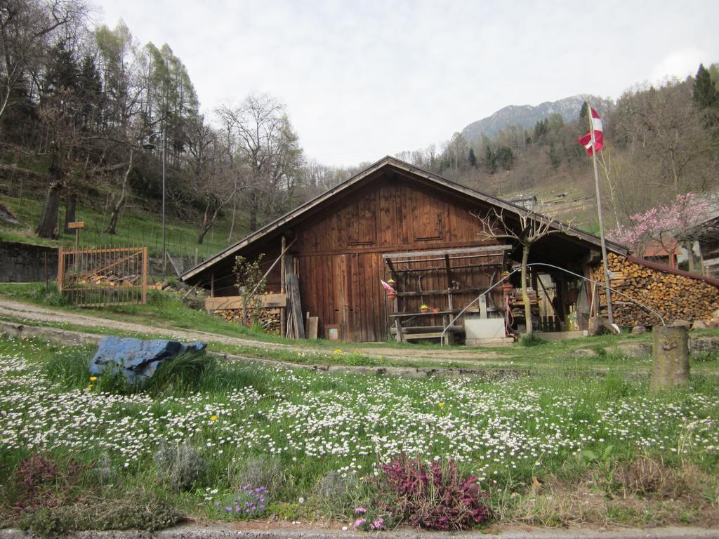 B&B Al Larice Strigno Exterior photo